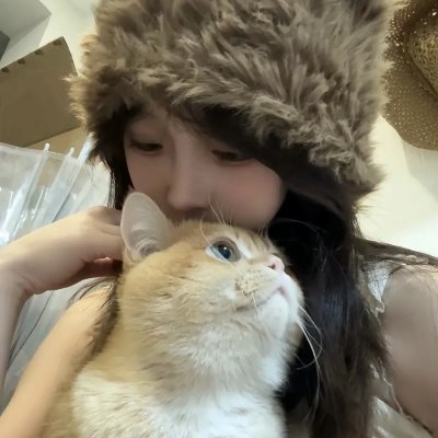 破碎太阳之心